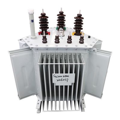 Transformateur électrique rempli d'huile de 300 kVA en 3 phases 11kv/0.4kv à fréquence 50/60Hz
